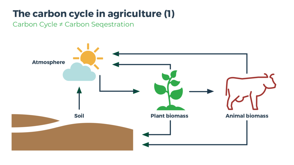 Agrecalc soil carbon guide explains soil carbon cycle in agriculture